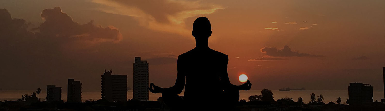 Yoga And Meditation Treatment Centre
